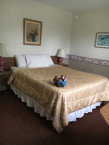 Queen Room view 1