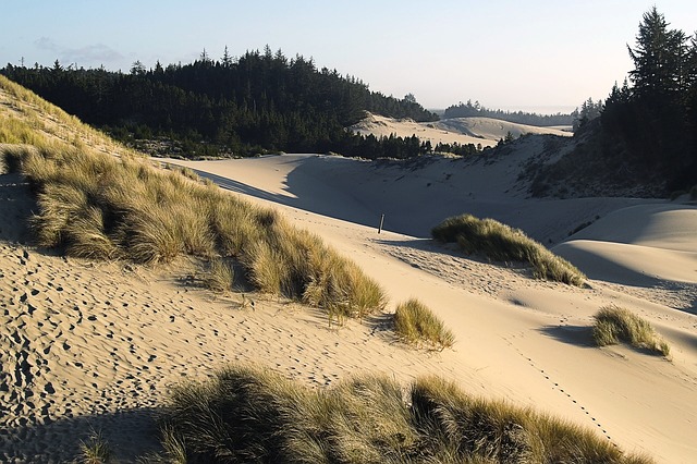 dunes-50068_640