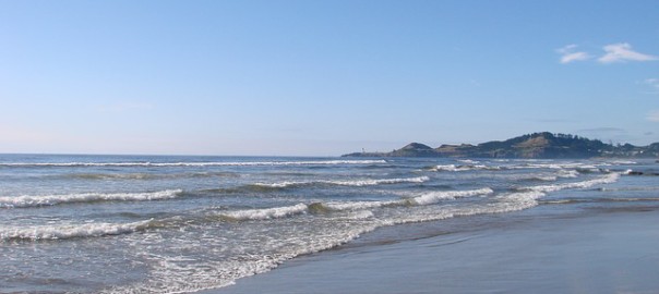 A beach with gentle waves