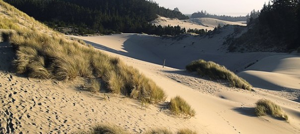 A sandy hiking trail