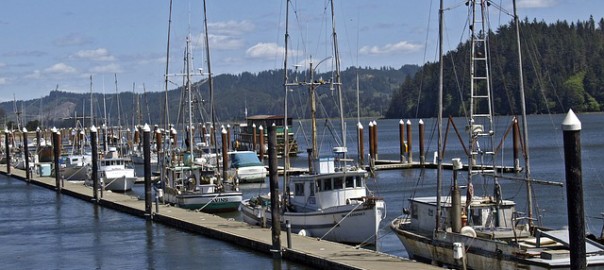 boats coked in a pier