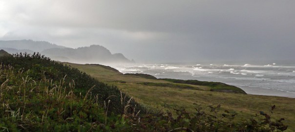 A field near the sea